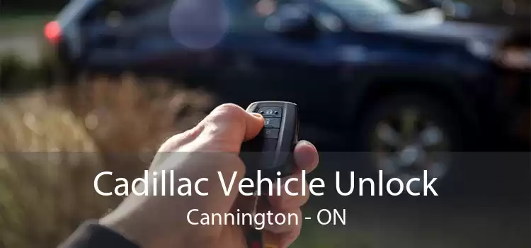Cadillac Vehicle Unlock Cannington - ON