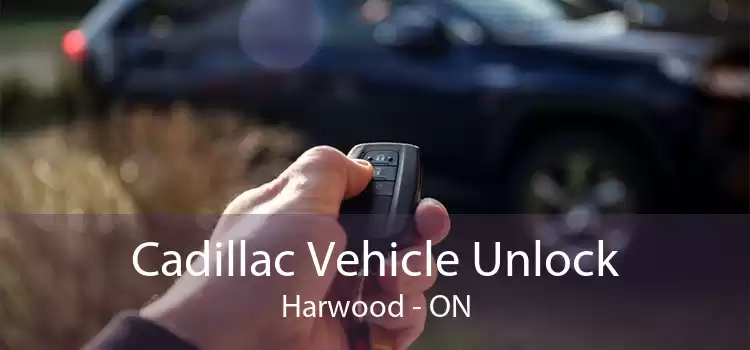 Cadillac Vehicle Unlock Harwood - ON