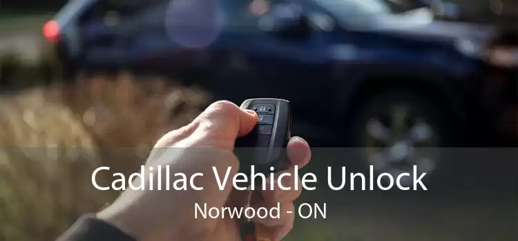 Cadillac Vehicle Unlock Norwood - ON