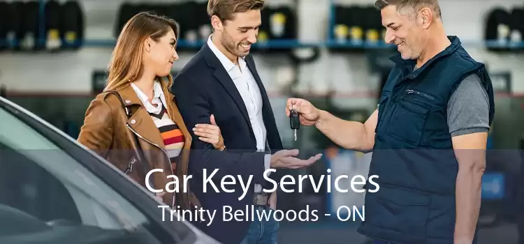Car Key Services Trinity Bellwoods - ON