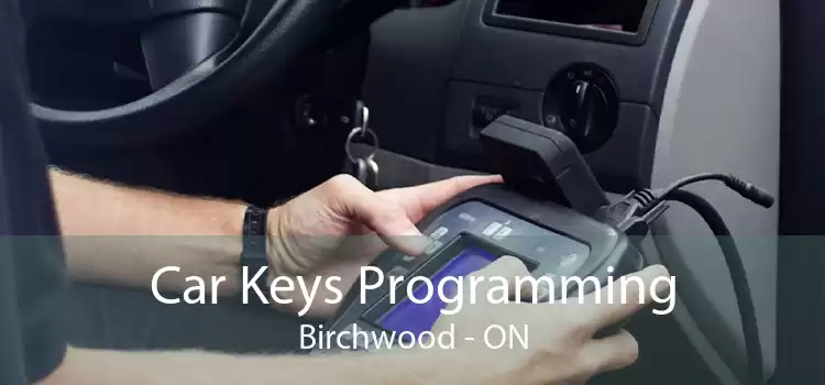 Car Keys Programming Birchwood - ON