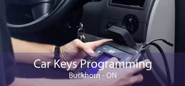Car Keys Programming Buckhorn - ON