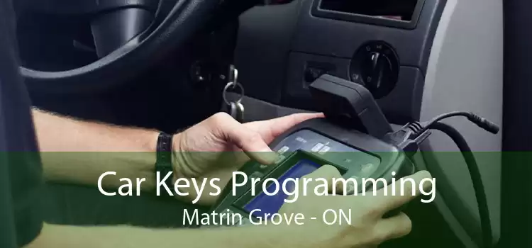 Car Keys Programming Matrin Grove - ON