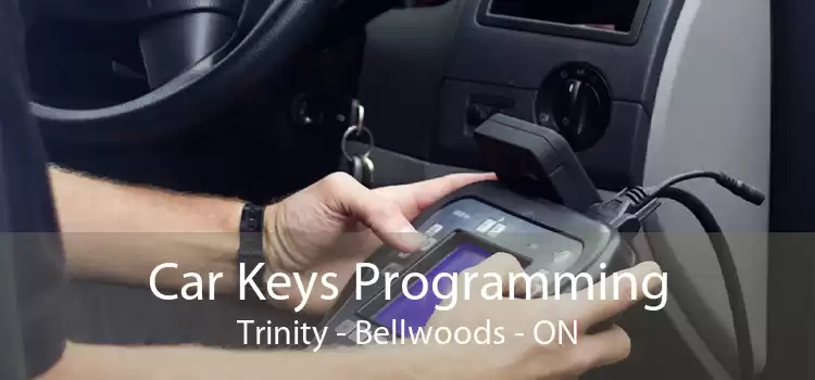 Car Keys Programming Trinity Bellwoods - ON