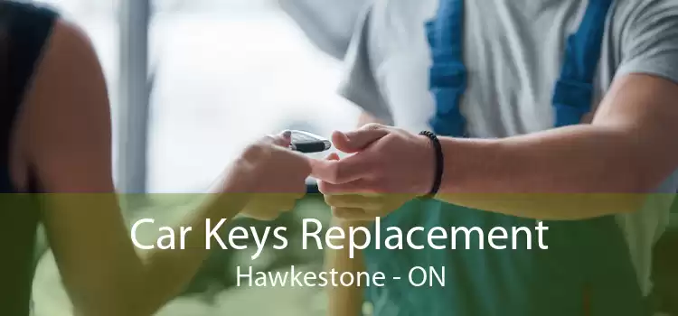 Car Keys Replacement Hawkestone - ON