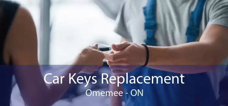 Car Keys Replacement Omemee - ON