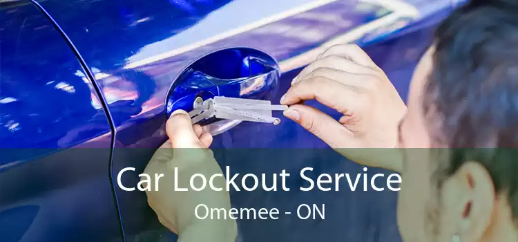 Car Lockout Service Omemee - ON