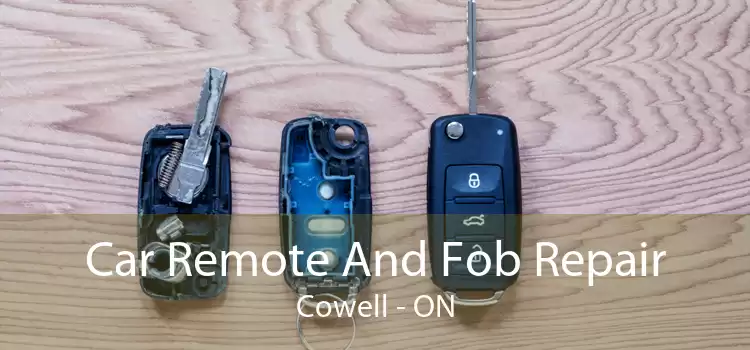 Car Remote And Fob Repair Cowell - ON