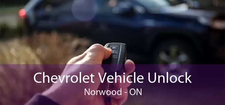 Chevrolet Vehicle Unlock Norwood - ON