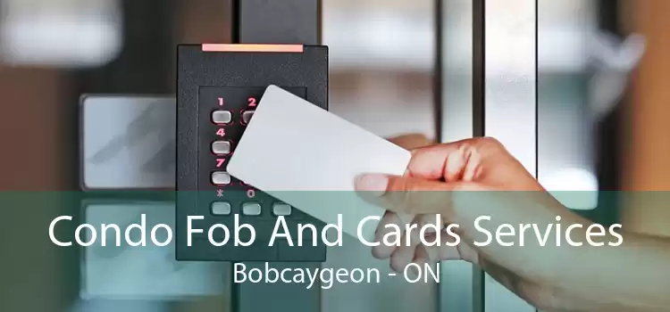 Condo Fob And Cards Services Bobcaygeon - ON