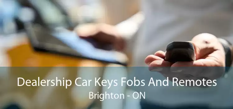 Dealership Car Keys Fobs And Remotes Brighton - ON