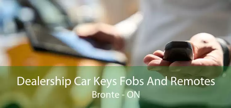 Dealership Car Keys Fobs And Remotes Bronte - ON
