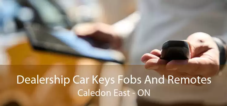 Dealership Car Keys Fobs And Remotes Caledon East - ON
