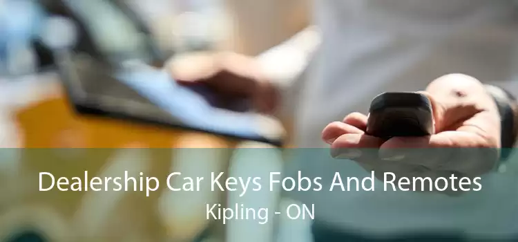 Dealership Car Keys Fobs And Remotes Kipling - ON