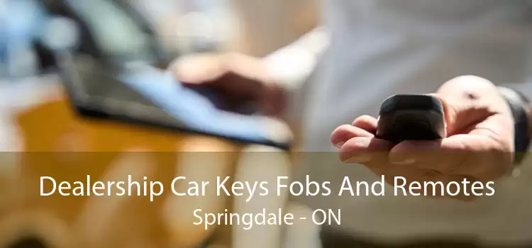 Dealership Car Keys Fobs And Remotes Springdale - ON