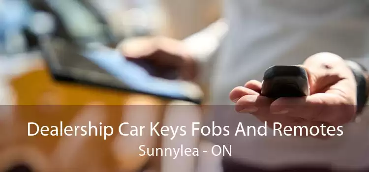 Dealership Car Keys Fobs And Remotes Sunnylea - ON