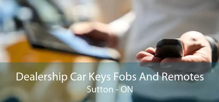 Dealership Car Keys Fobs And Remotes Sutton - ON