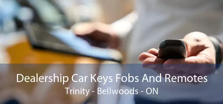 Dealership Car Keys Fobs And Remotes Trinity - Bellwoods - ON
