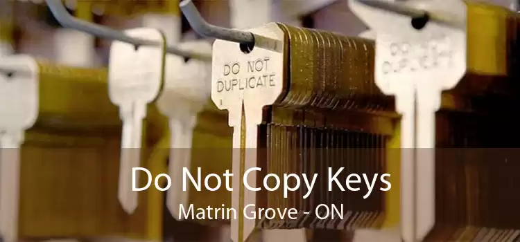 Do Not Copy Keys Matrin Grove - ON