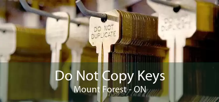 Do Not Copy Keys Mount Forest - ON