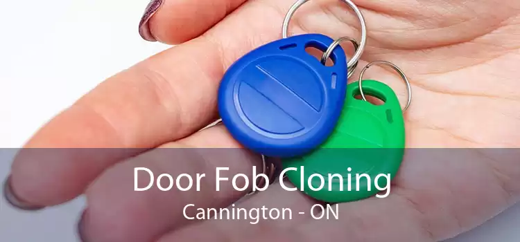 Door Fob Cloning Cannington - ON