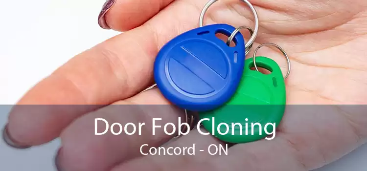 Door Fob Cloning Concord - ON