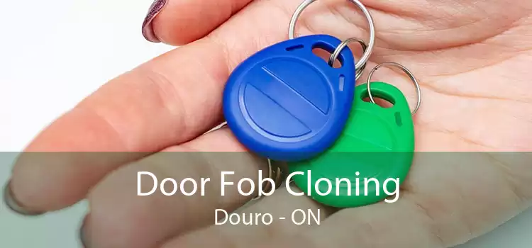 Door Fob Cloning Douro - ON