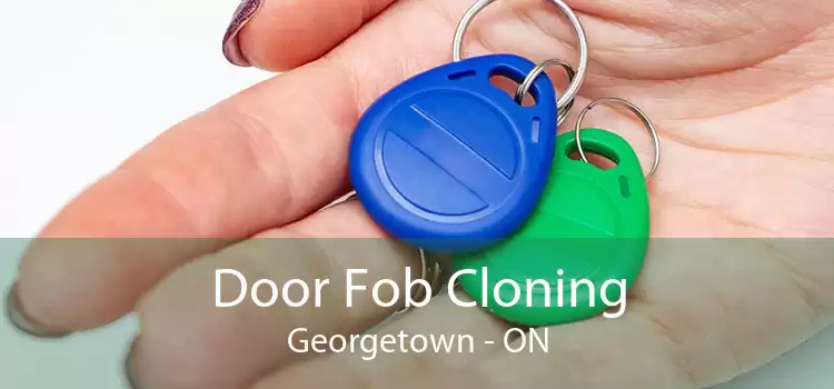Door Fob Cloning Georgetown - ON