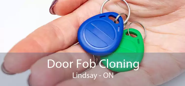Door Fob Cloning Lindsay - ON