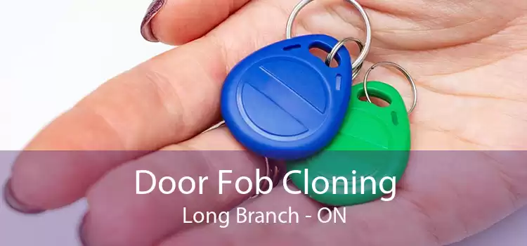Door Fob Cloning Long Branch - ON