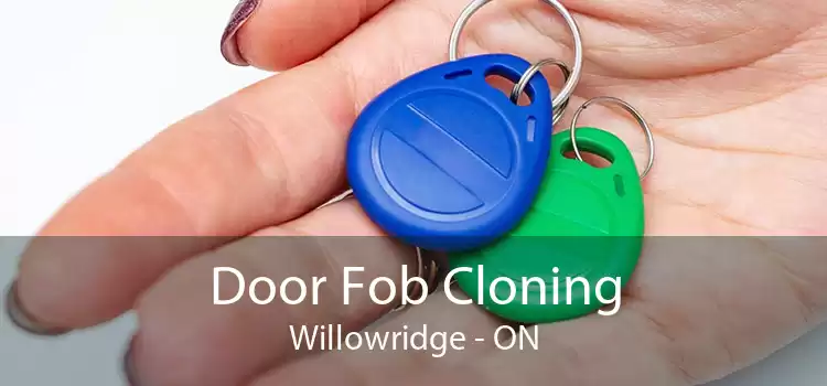 Door Fob Cloning Willowridge - ON