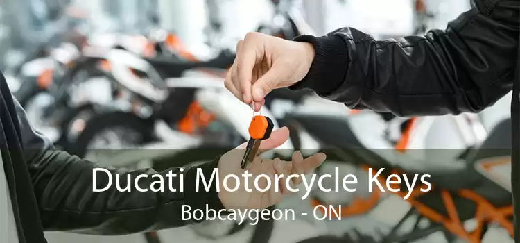 Ducati Motorcycle Keys Bobcaygeon - ON