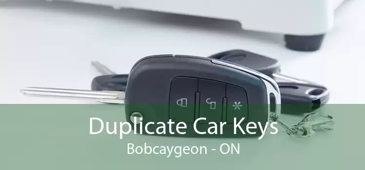 Duplicate Car Keys Bobcaygeon - ON