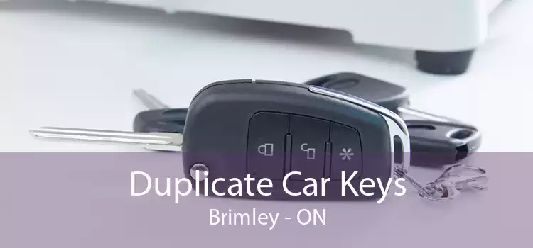 Duplicate Car Keys Brimley - ON