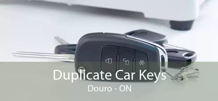 Duplicate Car Keys Douro - ON