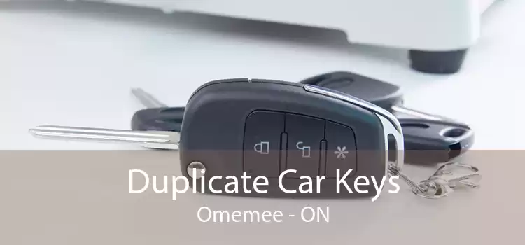 Duplicate Car Keys Omemee - ON