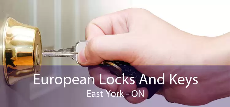 European Locks And Keys East York - ON