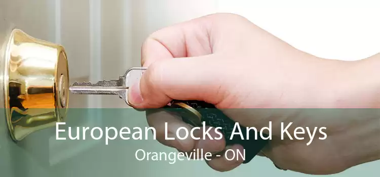 European Locks And Keys Orangeville - ON