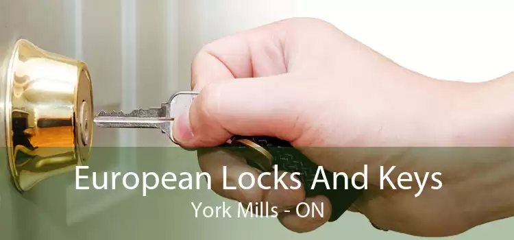 European Locks And Keys York Mills - ON