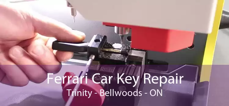 Ferrari Car Key Repair Trinity Bellwoods - ON