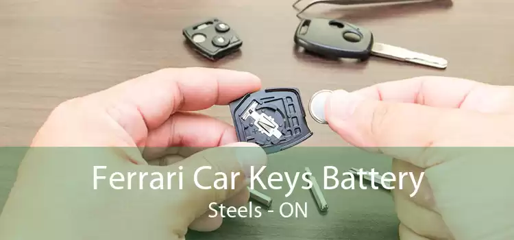 Ferrari Car Keys Battery Steels - ON