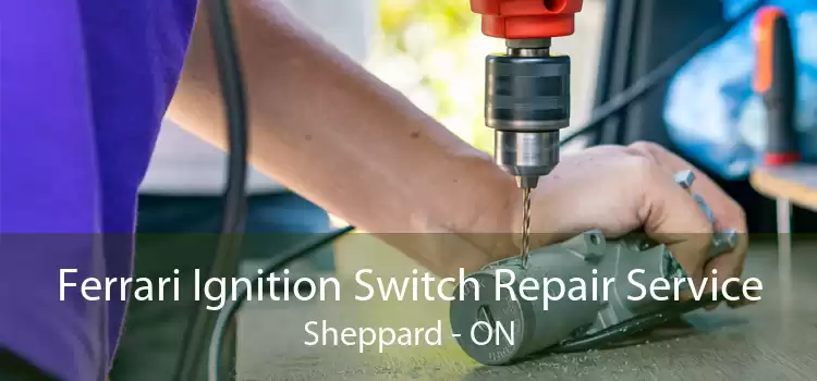 Ferrari Ignition Switch Repair Service Sheppard - ON