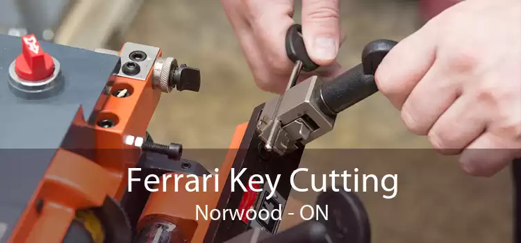 Ferrari Key Cutting Norwood - ON