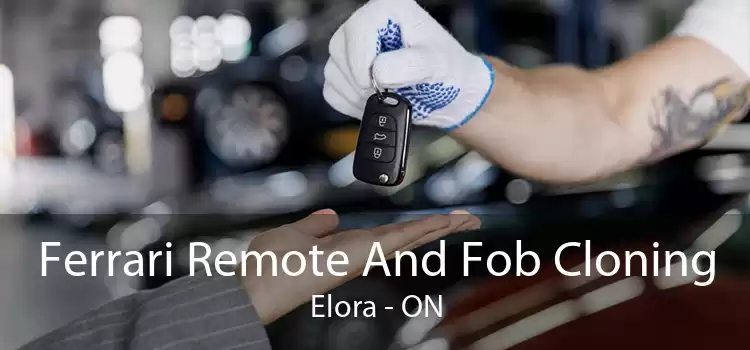 Ferrari Remote And Fob Cloning Elora - ON