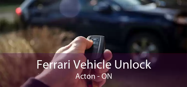 Ferrari Vehicle Unlock Acton - ON