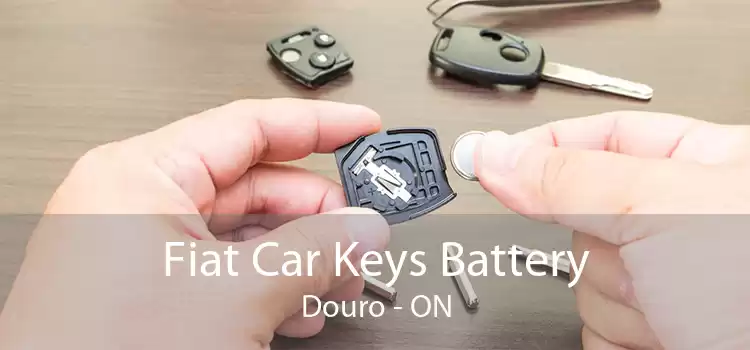 Fiat Car Keys Battery Douro - ON
