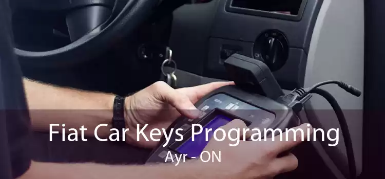 Fiat Car Keys Programming Ayr - ON