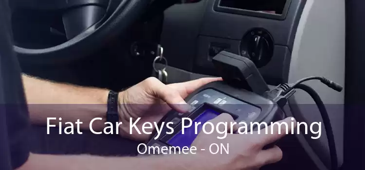 Fiat Car Keys Programming Omemee - ON