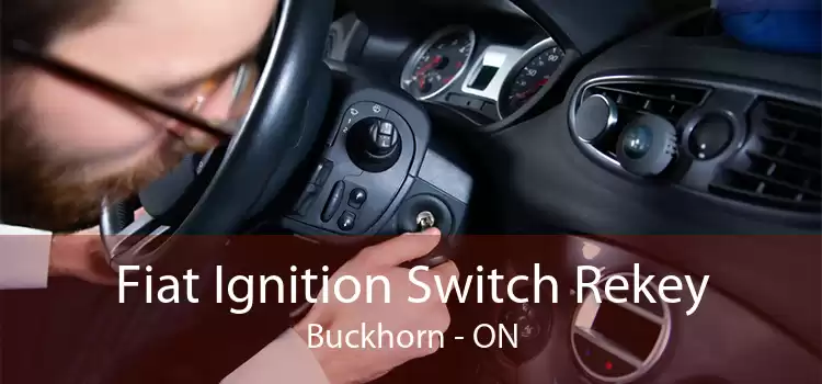 Fiat Ignition Switch Rekey Buckhorn - ON