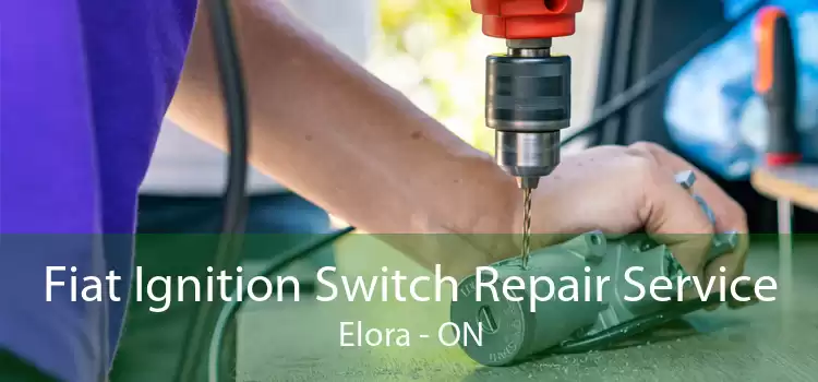 Fiat Ignition Switch Repair Service Elora - ON